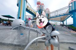 -季高兔窝窝亲子园(上海薰衣草公园店)