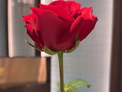 -湖鱼湖·蓉亭食贝(亚运村店)