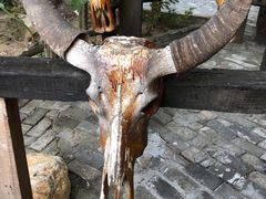 -南湾猴岛+椰田古寨一日游