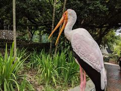 -吉隆坡雀鸟公园