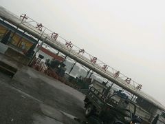-大湾区中央湿地公园-十九涌