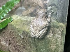 -香港海洋公园