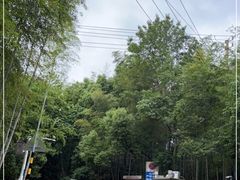 -紫金山山顶公园