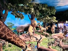 -国家自然博物馆