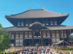 -奈良公园