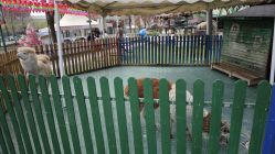 -萌宠亲子动物乐园(槐房万达店)