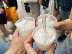 -洪馨椰子