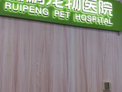 -瑞鹏宠物医院·微创内窥镜·骨外科·牙科(翠竹分院)