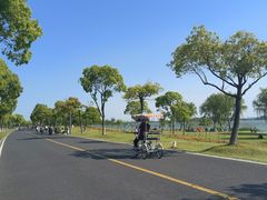 -漕湖湿地公园