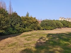 -同济大学(嘉定校区)