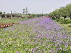 -汉长安城未央宫国家考古遗址公园
