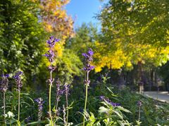 -中央戏剧学院(昌平校区)
