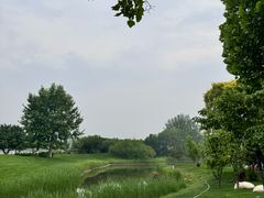 -圣露庄园·亲子活动乐园·露营·团建婚礼