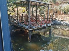 -天怡·鱼工厂(梅溪湖店)