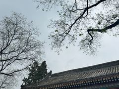 -白云观