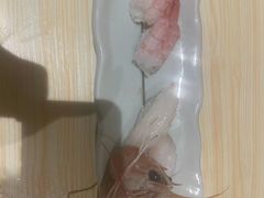 -乾山寿司(好运街店)