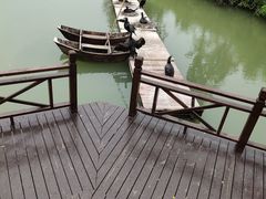 -泗洪洪泽湖湿地景区