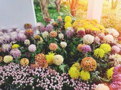 -杭州植物园
