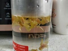 -正宗集安高丽火盆(东昌街店)