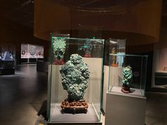 -盘龙城国家考古遗址公园