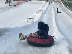 -北京鹿世界主题园