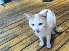 -大厨的餐厅(曾厝垵总店)