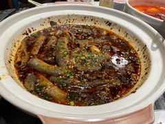 -情妹耙泥鳅·江湖川菜(科华店)