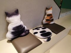 -飞行喵MR PILOT|猫舍·猫咖(静安大融城店)