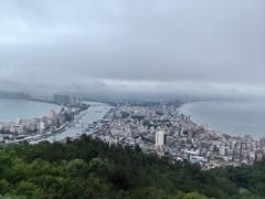 -广东惠东海龟国家级自然保护区