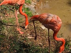 -昆明动物园