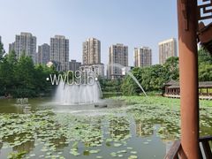 -龙头寺公园