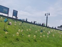 -观潮胜地公园