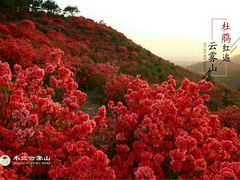 -木兰云雾山
