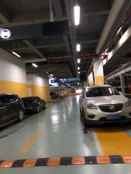 -上海市儿童医院(泸定路院区)