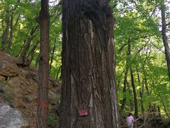 -北京上方山国家森林公园
