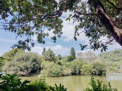 -深圳仙湖植物园