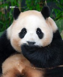 -Hair Co.一间沙龙