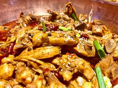 -成老灶火锅鸡·自选烧烤(汇君城店)