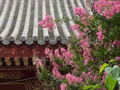 -北京国子监胡同
