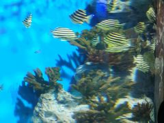 -福州罗源湾海洋世界旅游区