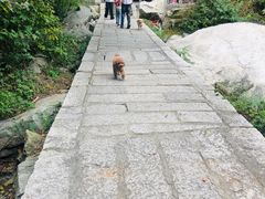 -尧山风景区