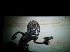 -百丽宫影城(CGS激光苏宁广场店)