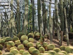 -南山植物园