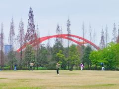 -成都南湖公园