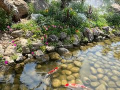 -罗红摄影艺术馆