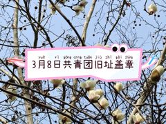 -中国社会主义青年团中央机关旧址纪念馆