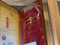 -和晟shèng铁锅炖·东北菜(南山店)