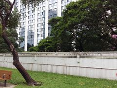-九龙公园