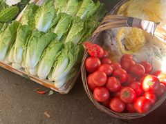 -南坛综合农贸市场