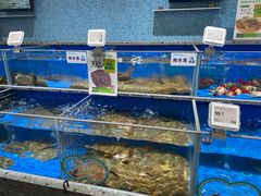 水产区-盒马鲜生(富田新天地店)